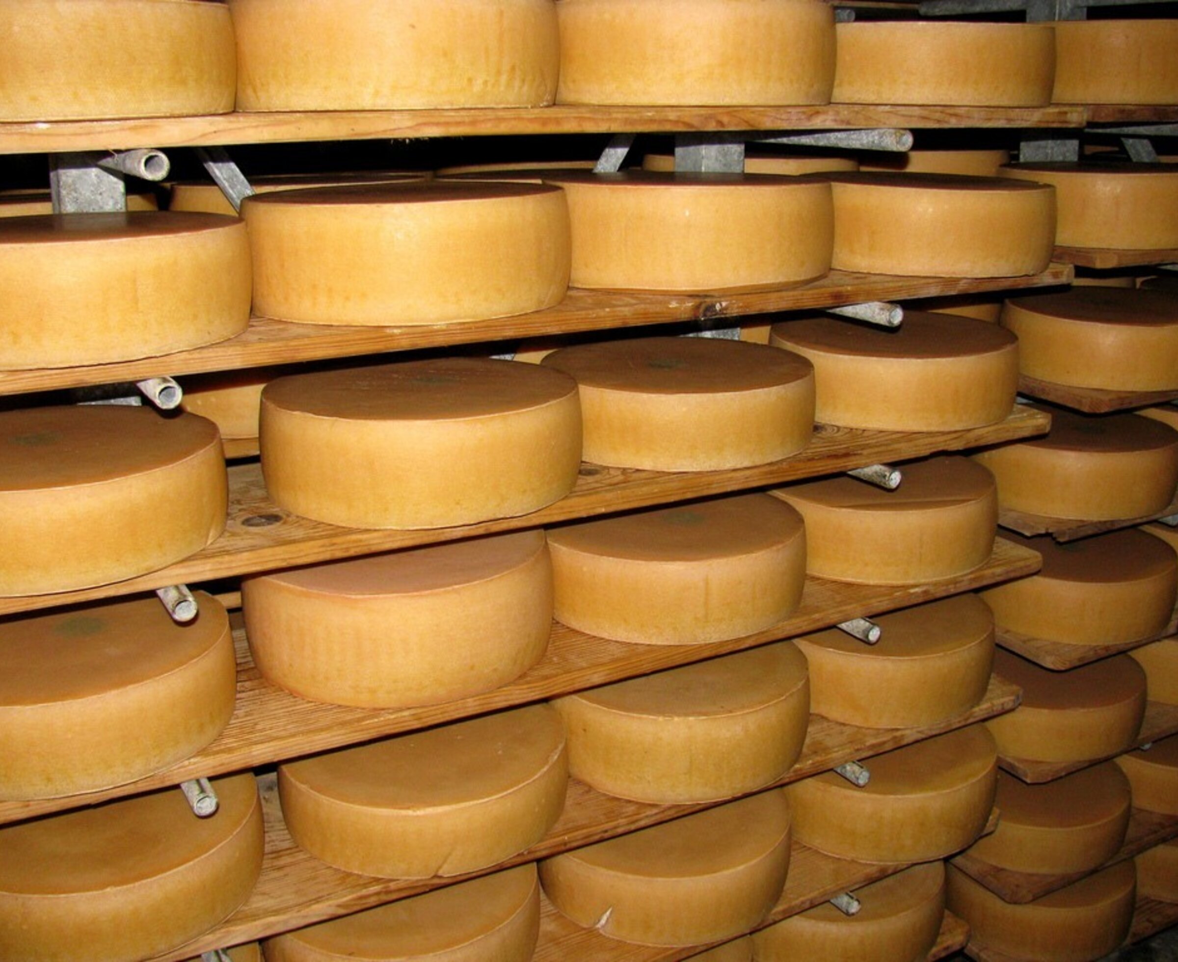 Alpkäse im Reifekeller