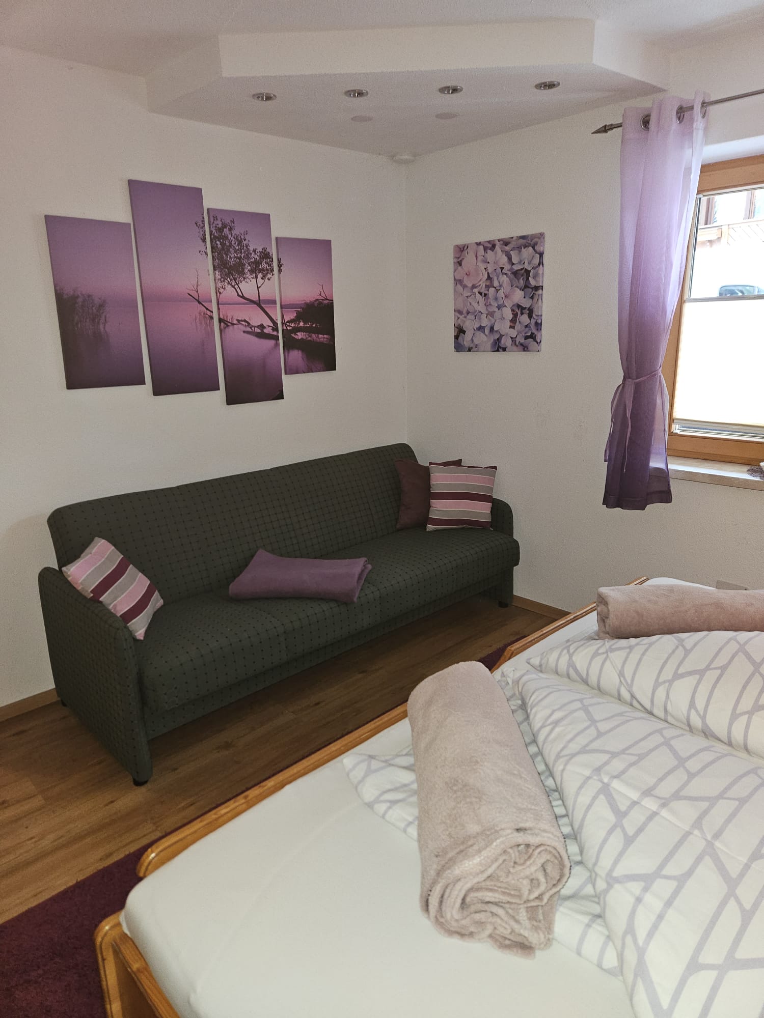 Schlafbereich mit Schlafcouch im Appartement Alpina