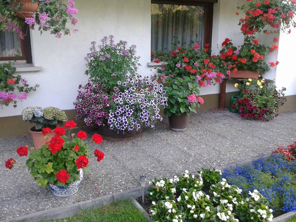 Blick aufs Haus