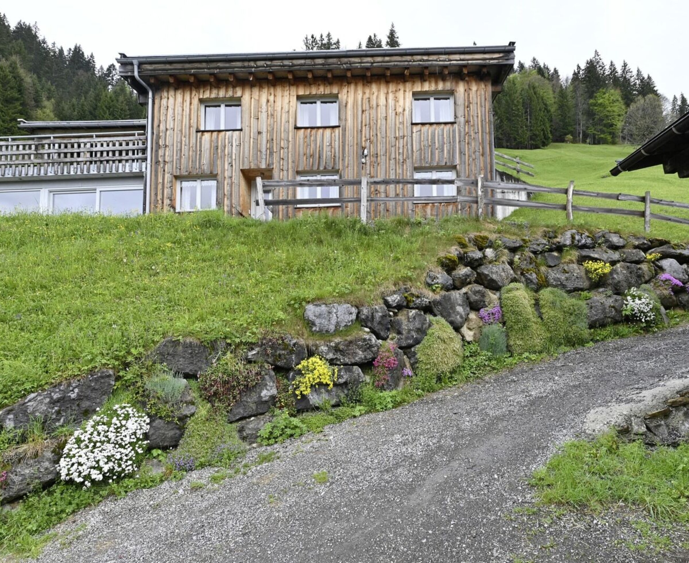 Das Bauernhaus Burtscher im Frühling mit blühendem Steingarten am Berghang