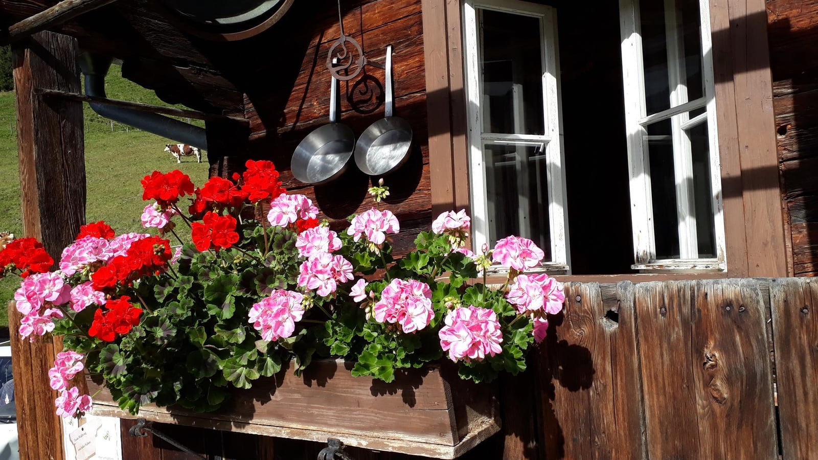 Sommerliche Geranien am Tiroler Holzbalkon