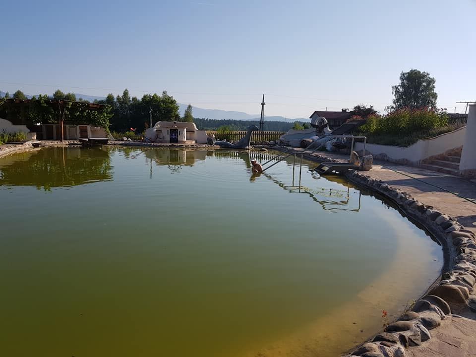 Der hauseigene Naturbadeteich im Garten mit Blick auf die Berge