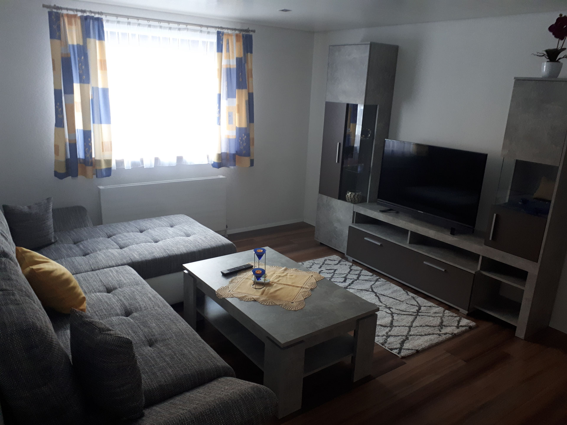 Wohnbereich mit Couch und TV