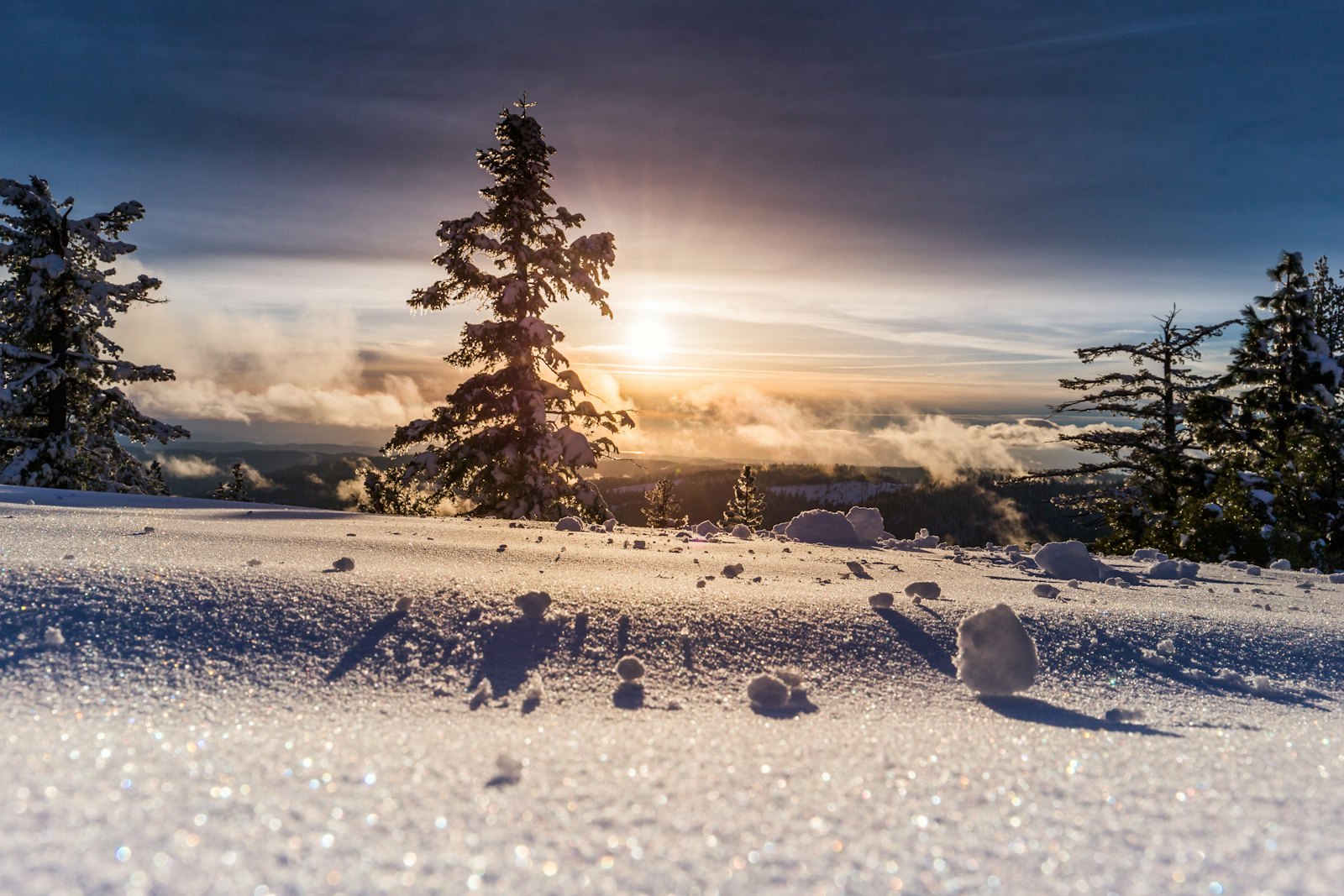 Verschneiter Winterwald bei tiefstehender Sonne